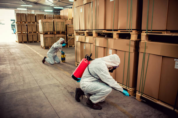 Wildlife Control Services in Carrollton, AL