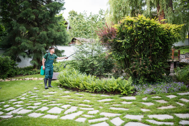 Best Affordable Pest Control Services  in Carrollton, AL