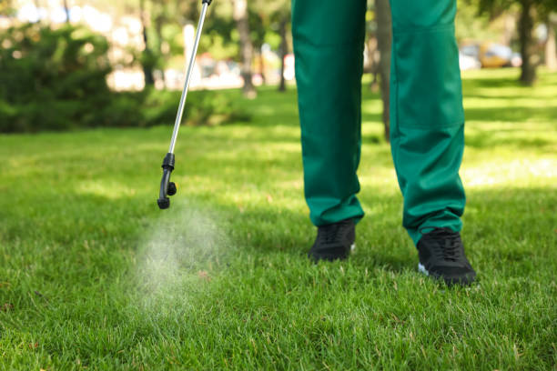 Insect Control in Carrollton, AL