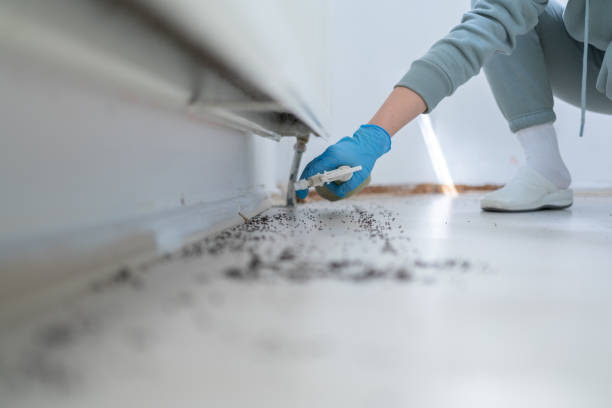 Best Flea Control Services  in Carrollton, AL