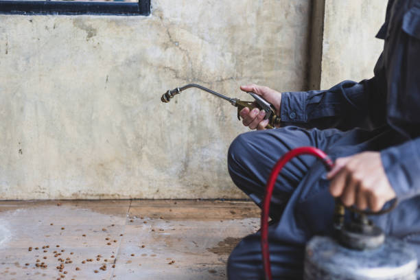 Best Pest Prevention Services  in Carrollton, AL